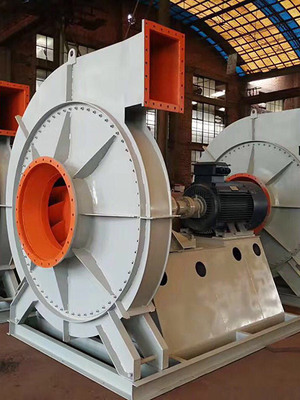 �߉��L�C�����c